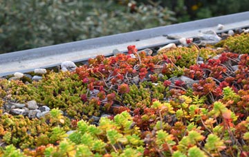 the cost of Quadring Eaudike green roof installation