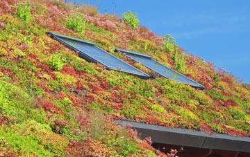 Quadring Eaudike living roof systems